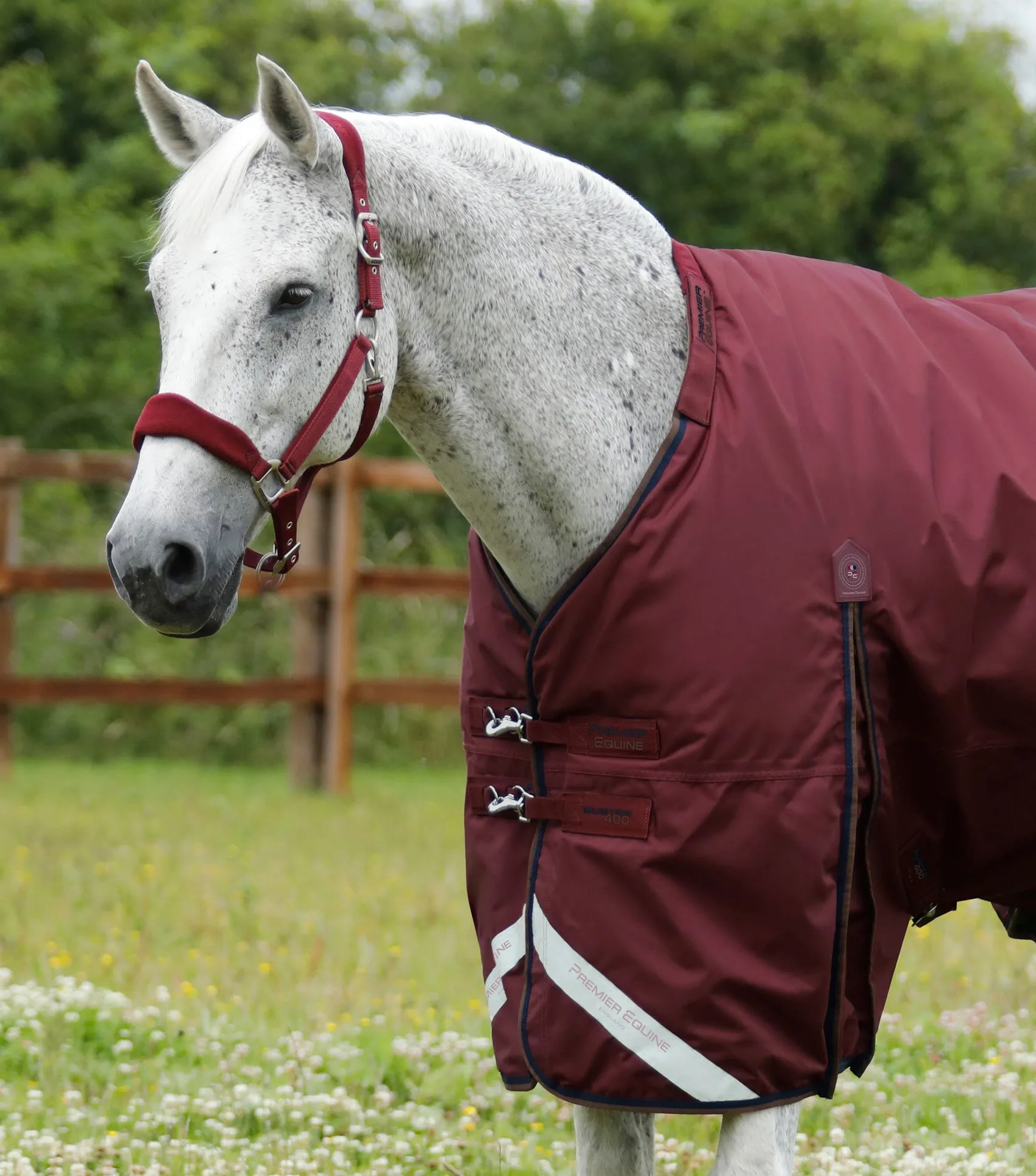 Buster 400g Turnout Rug with Snug-Fit Neck Cover Burgundy