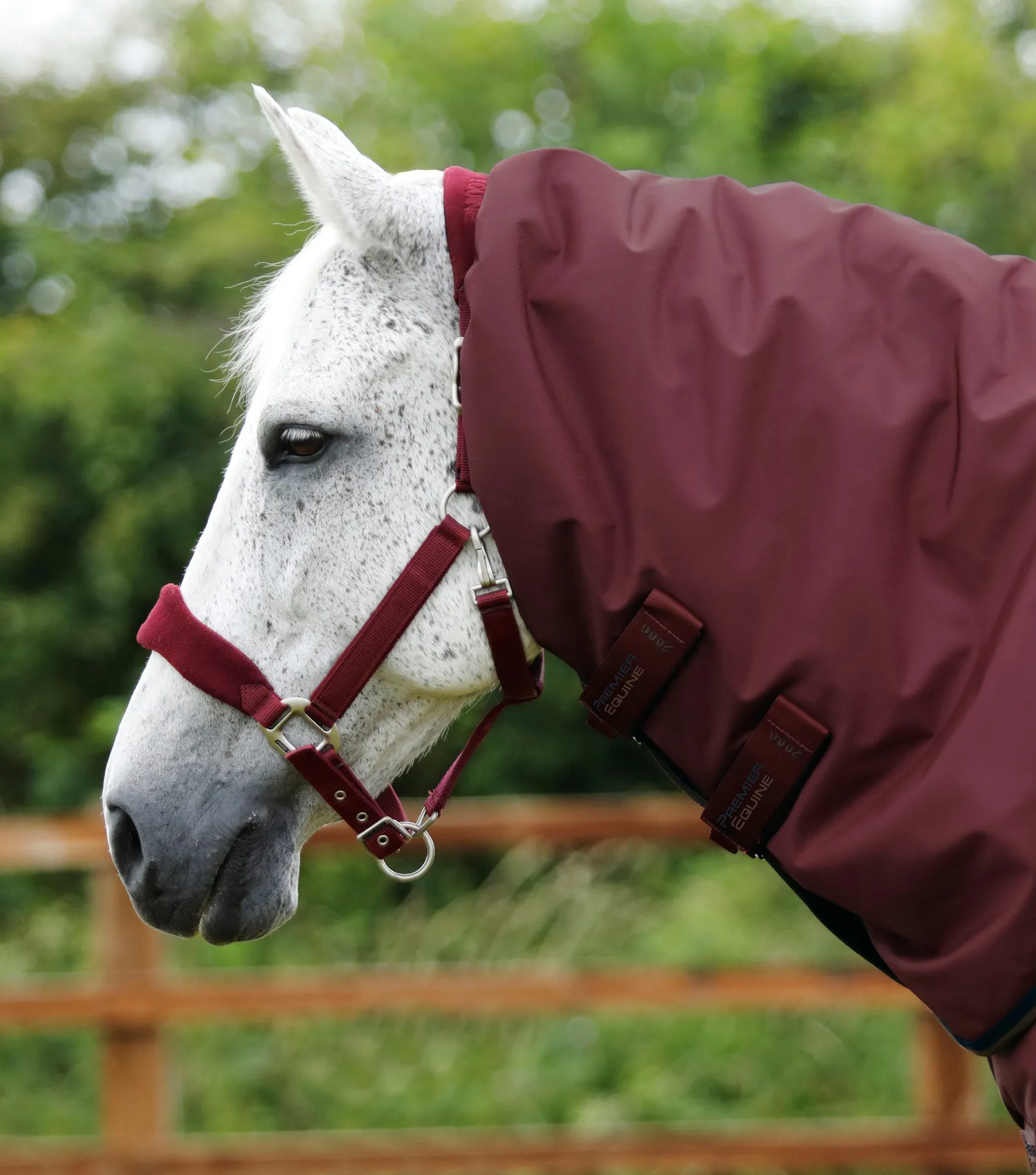 Buster 400g Turnout Rug with Snug-Fit Neck Cover Burgundy