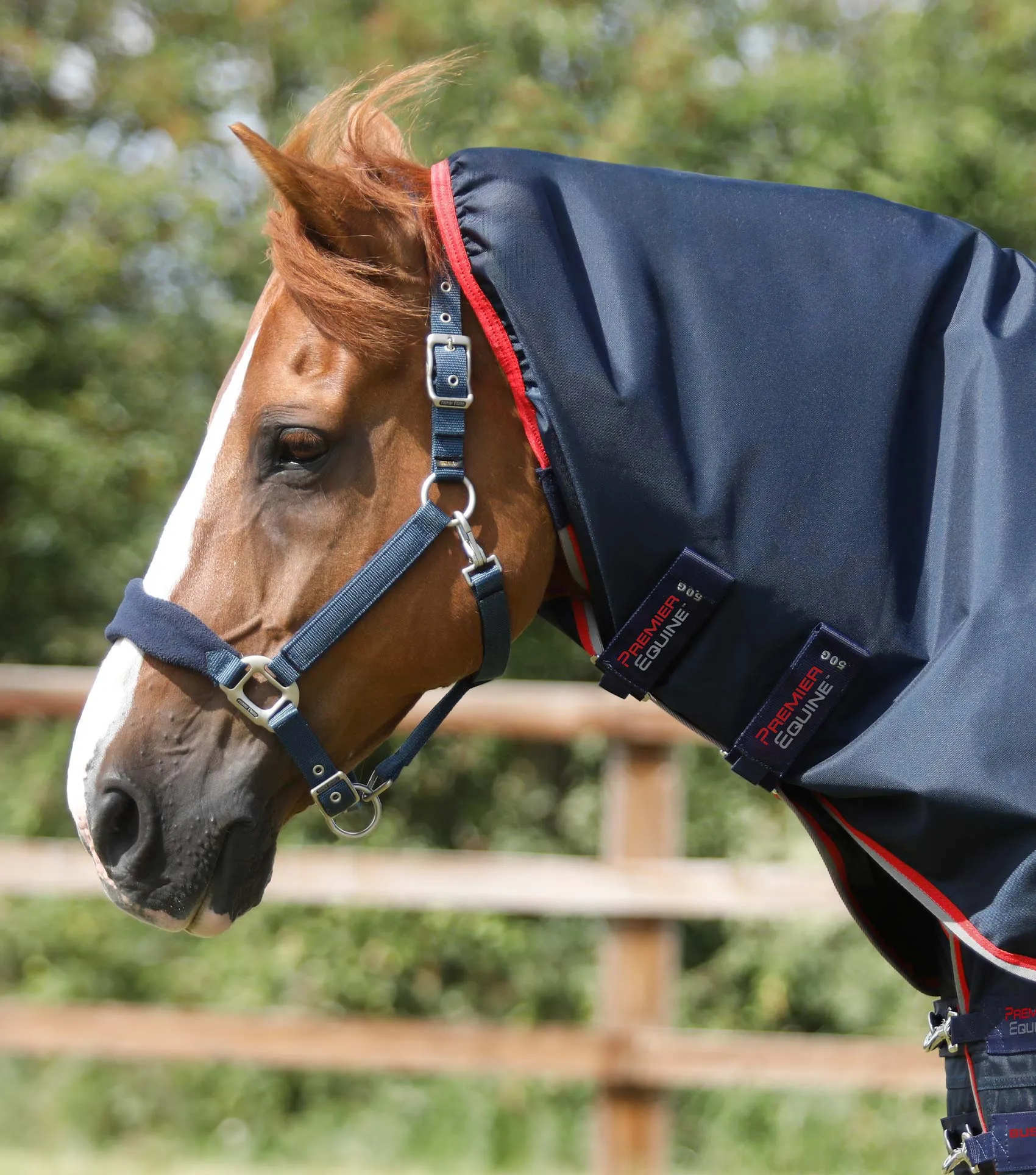 Buster 50g Turnout Rug with Snug-Fit Neck Cover Navy