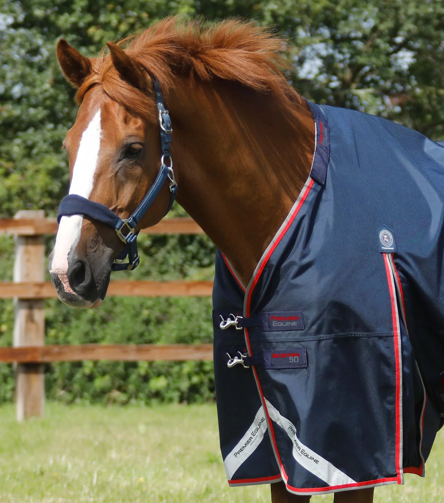 Buster 50g Turnout Rug with Snug-Fit Neck Cover Navy