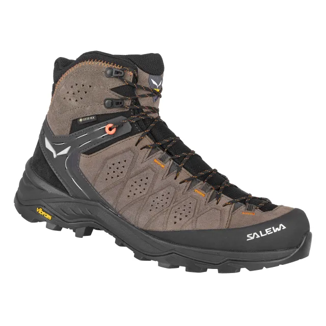 Men's Alp Trainer 2 Mid GTX