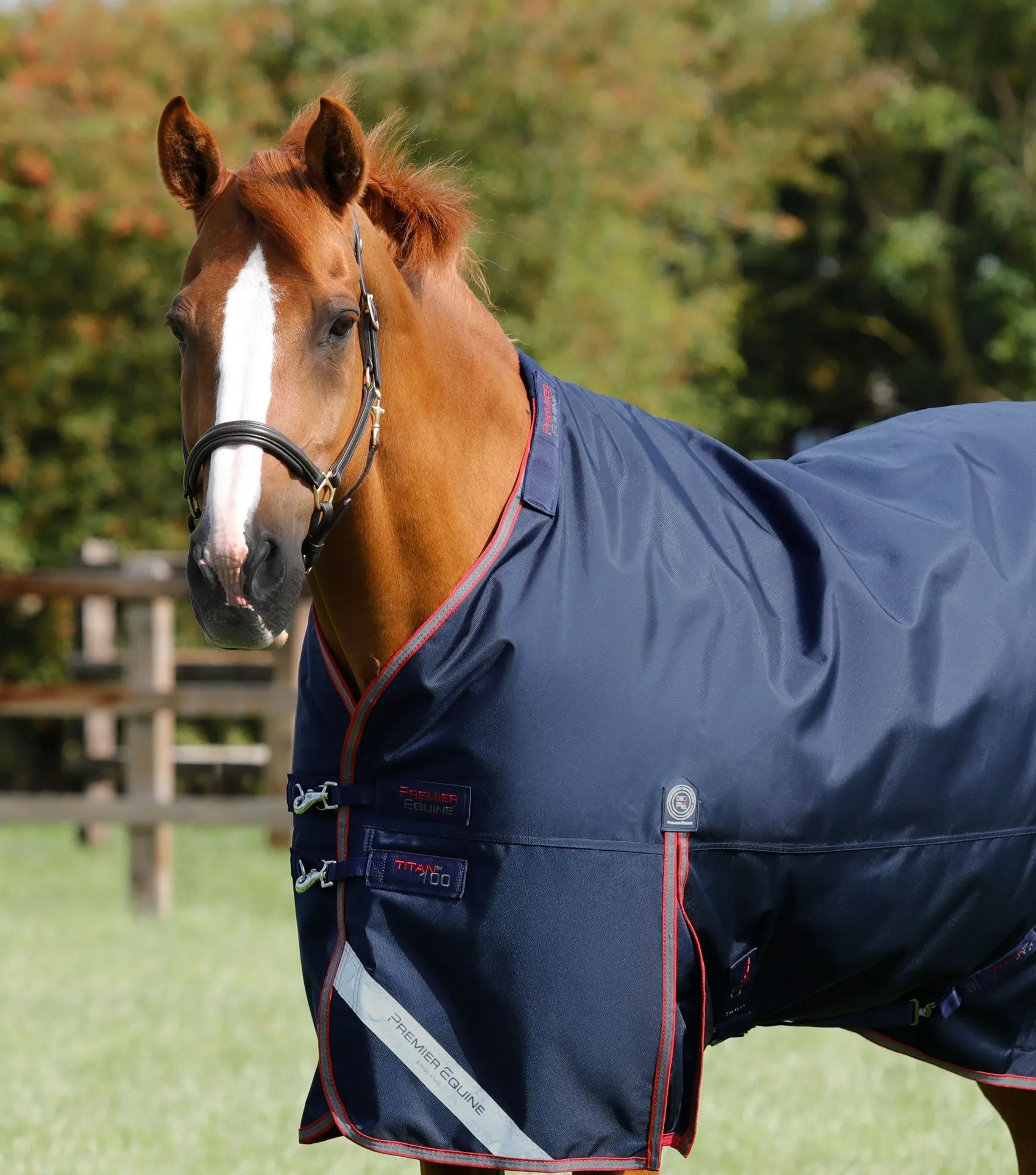 Titan 100g Turnout Rug with Snug-Fit Neck Cover Navy