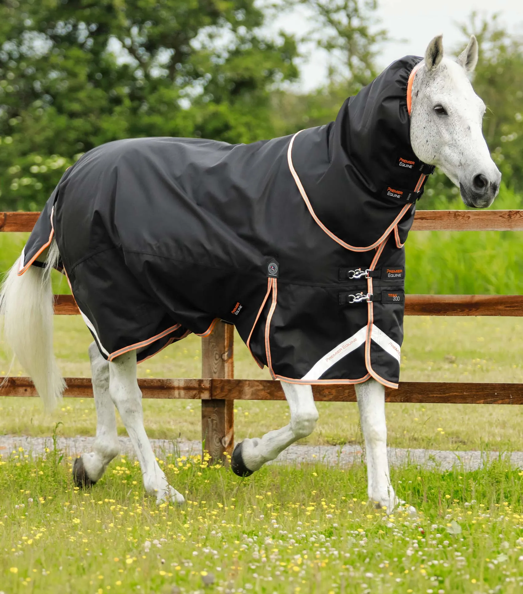 Titan 300g Turnout Rug with Snug-Fit Neck Cover Black