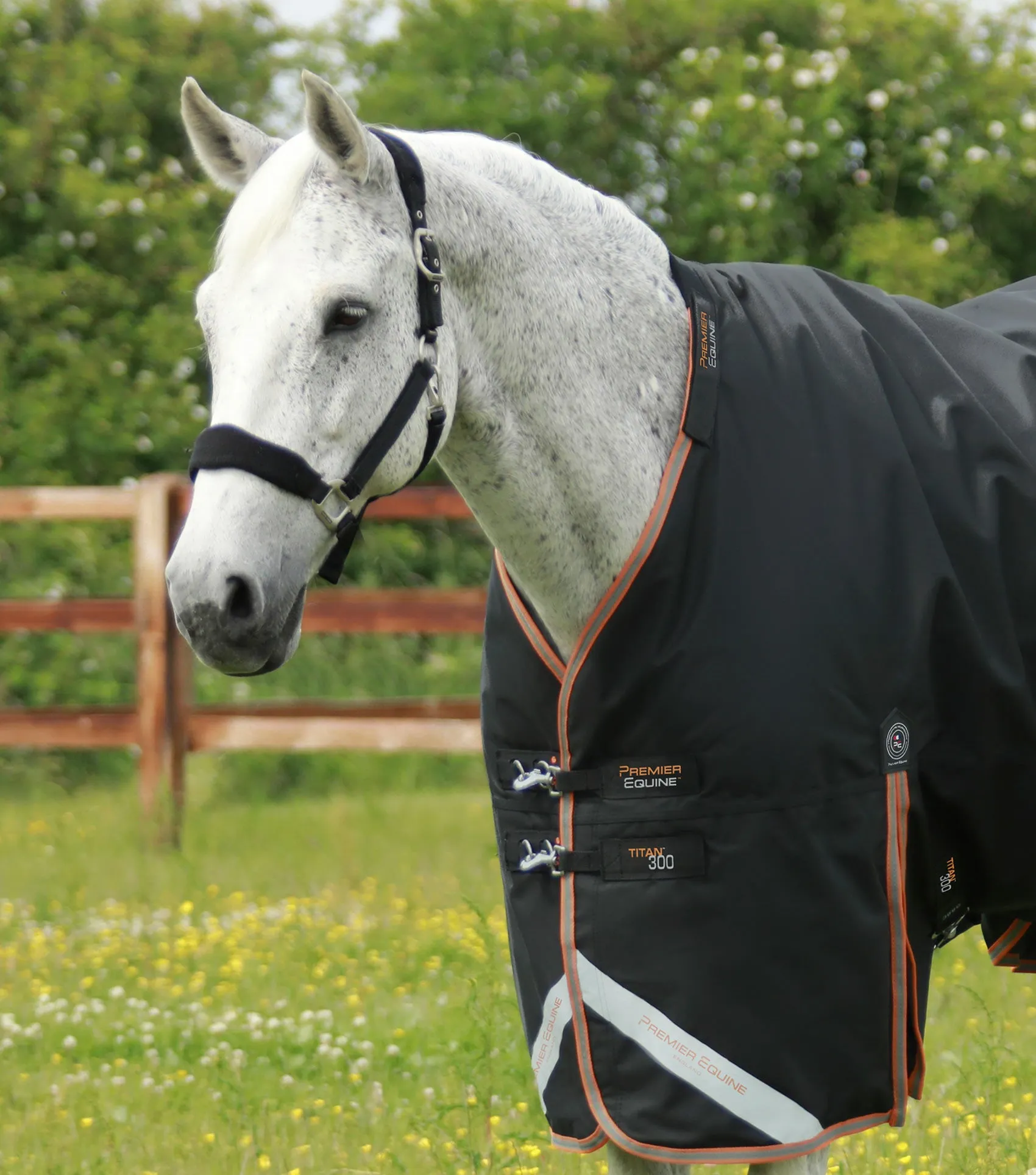 Titan 300g Turnout Rug with Snug-Fit Neck Cover Black