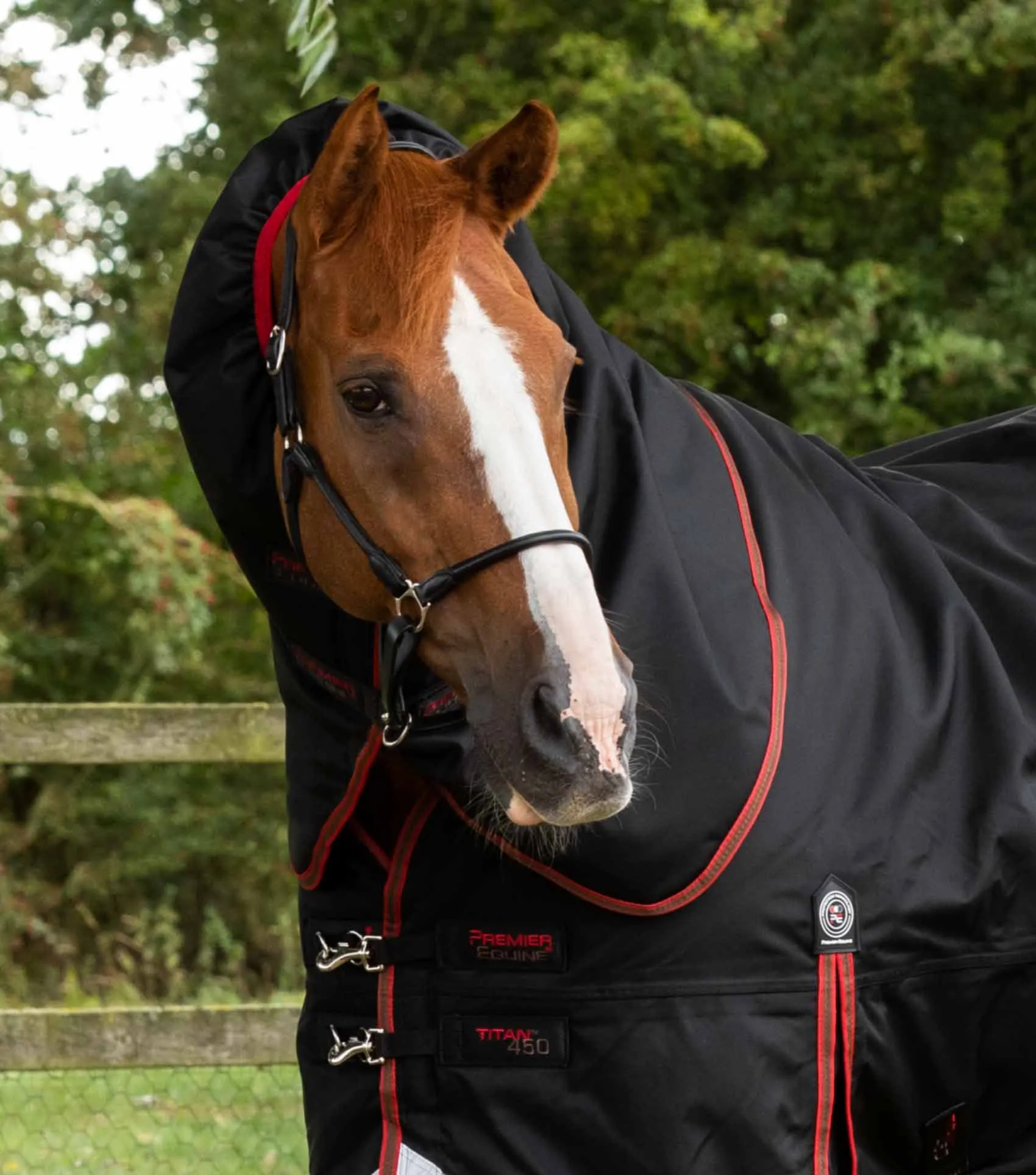 Titan 450g Turnout Rug with Snug-Fit Neck Cover Black