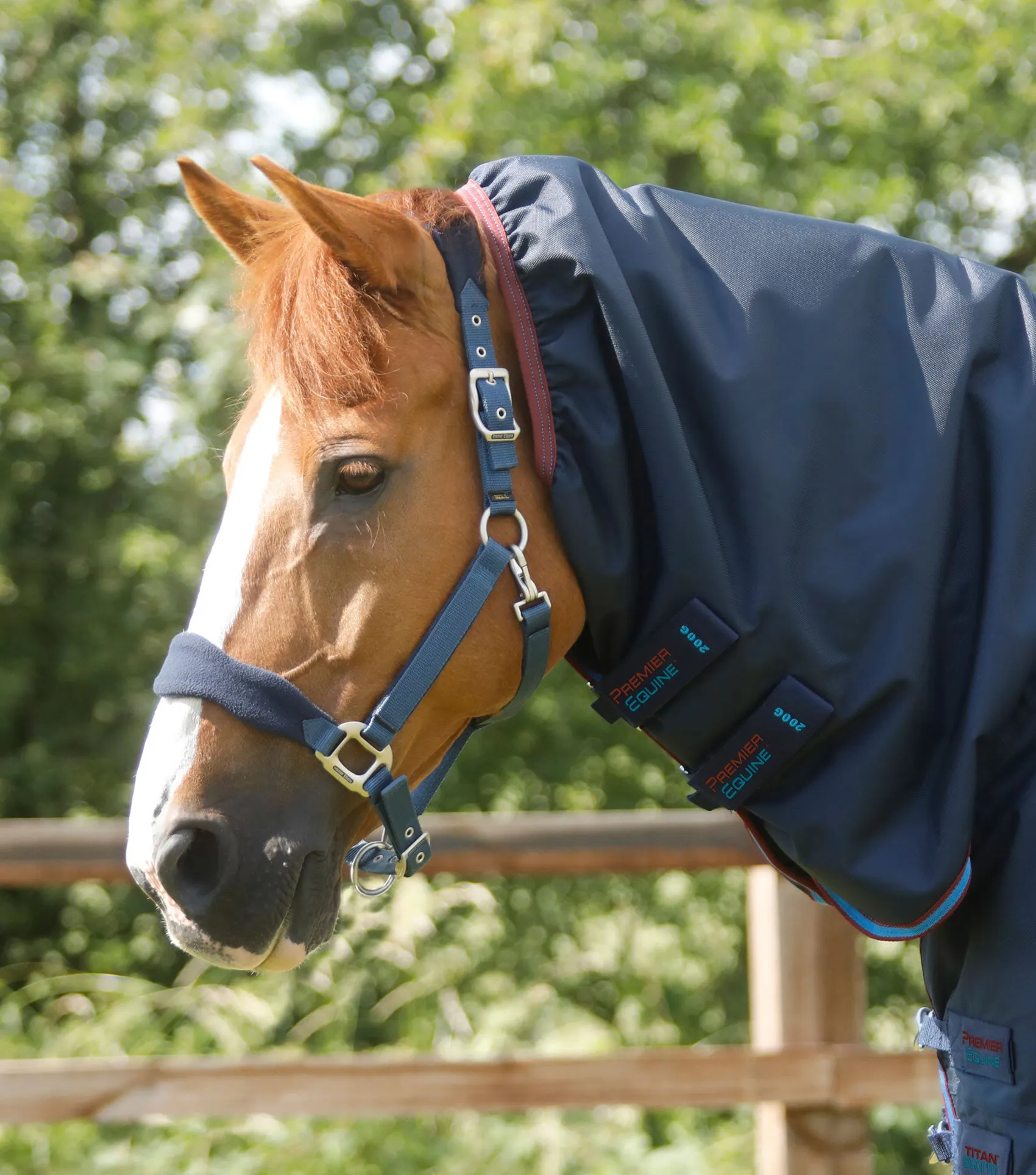 Titan Storm 200g Combo Turnout Rug with Snug-Fit Neck Navy